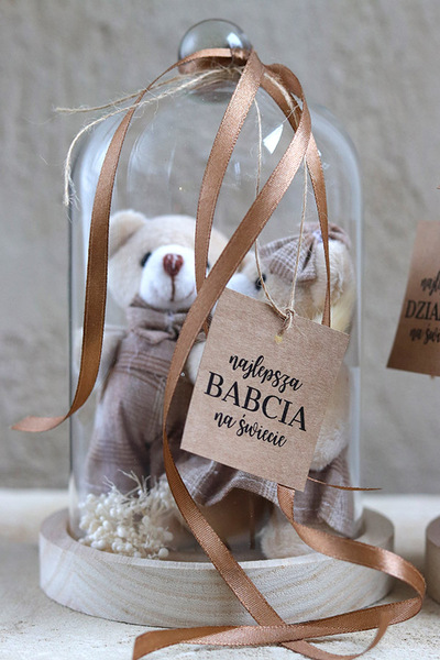 Teddy Beige, kompozycja pod szklanym kloszem