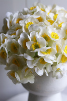 Narcisius, bukiet kwiatów w wazonie