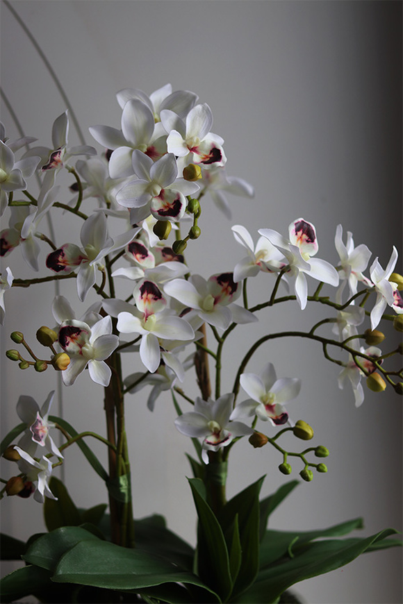 Tajlandia Banerra, sztuczny storczyk w minimalistycznej donicy