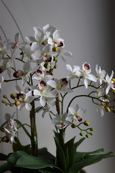 Tajlandia Banerra, sztuczny storczyk w minimalistycznej donicy