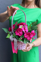 Bratki Pink różowy koszyk z kwiatami