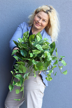  Hoja Golden Moment, sztuczna roślina w złotej donicy, wys.35/60cm