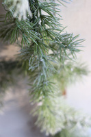 Śnieżka, girlanda zimowa ośnieżona