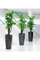 Diamante wysoka donica z nawadnianiem