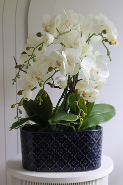 Dark Blue Orient 3, wysokiej jakości sztuczny storczyk, wys.54cm 