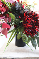 Astry Bordo, bukiet nagrobny we wkładzie, dł.62cm