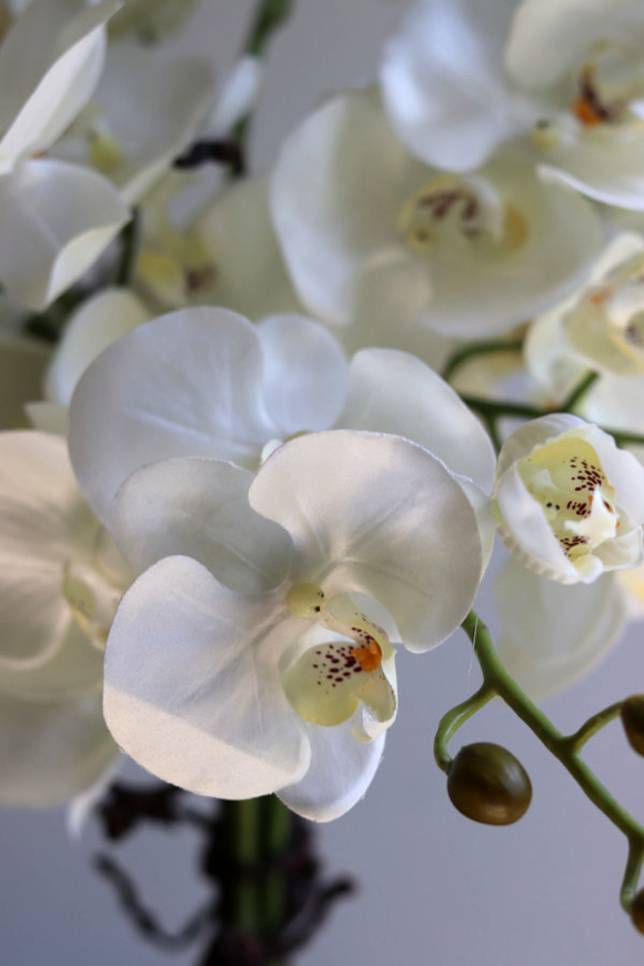 Louisiana Silver, sztuczny storczyk w lustrzanej donicy,