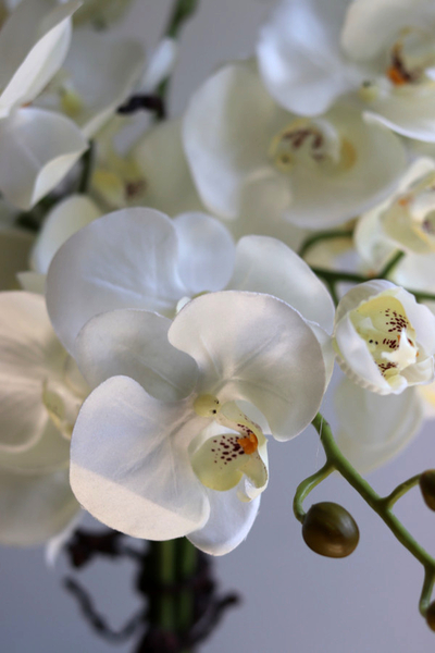 Louisiana Silver, sztuczny storczyk w lustrzanej donicy,