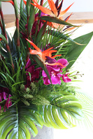 Strelicja&Orchidea Concrete, egzotyczna kompozycja