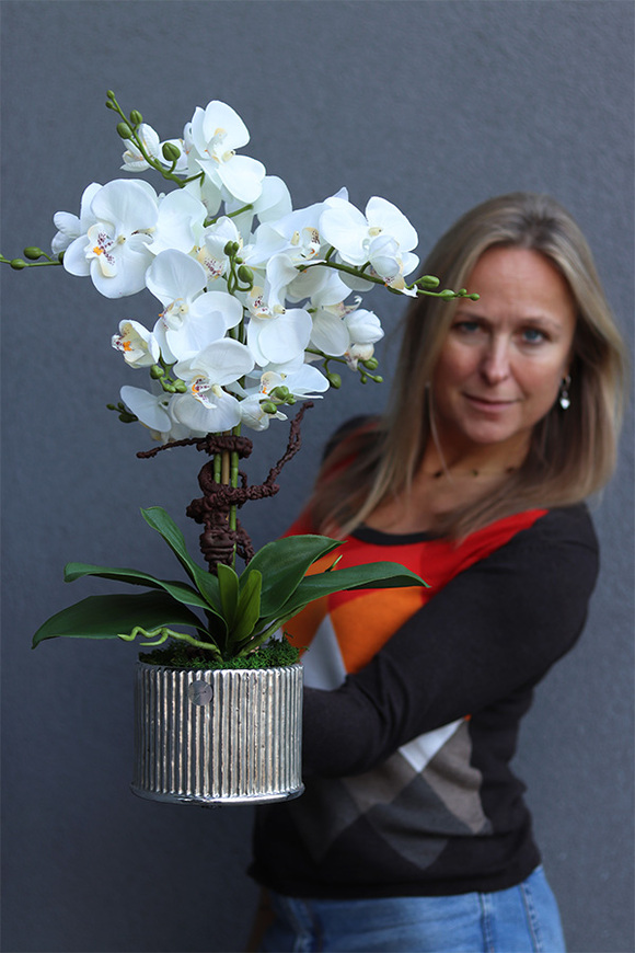 Silver Medilla, sztuczny storczyk w donicy