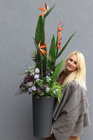 Strelicja Genassa Exclusive, egzotyczna dekoracja podłogowa