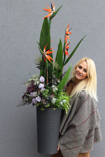 Strelicja Genassa Exclusive, egzotyczna dekoracja podłogowa