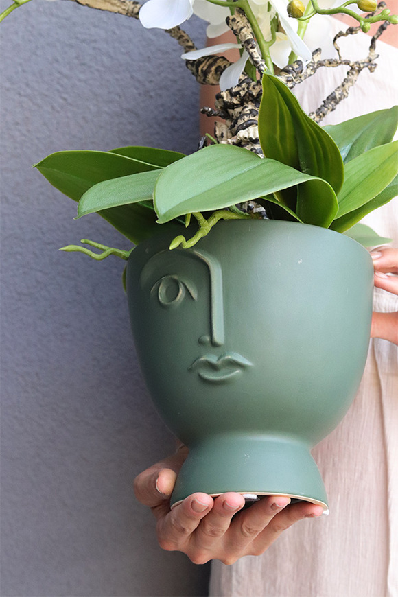 Green Head, storczyk w ceramicznym pucharze