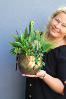 Green Cacti Hilton, sukulenty w złotej donicy