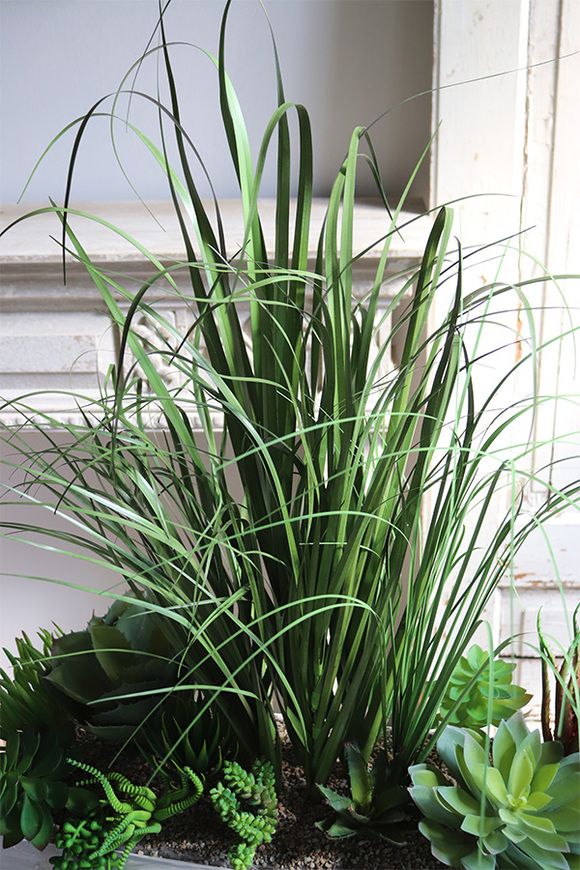 Arizona, kompozycja trawy & sukulenty do twojej donicy, wys.80cm 