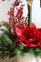 Amarylis Kokarda Denerra, świąteczna kompozycja z czerwonymi kwiatami