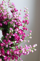 Pink FLowers 2, różowy wianek na drzwi