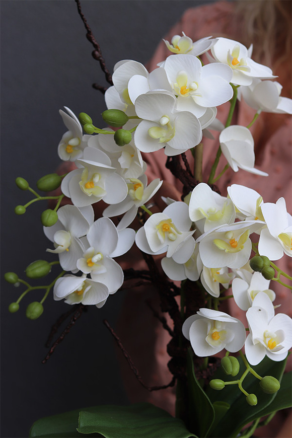 Turkusia 2, gumowy storczyk w ozdobnej donicy