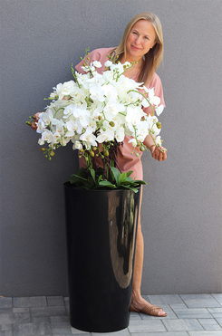 Czarny Mediolan Big, duży storczyk w wysokiej donicy, wys.140cm