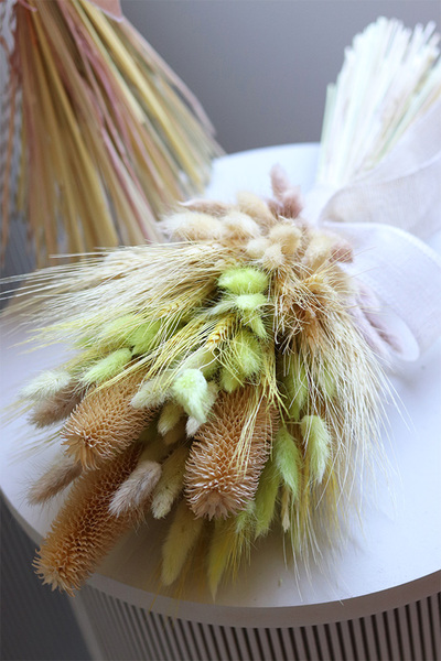 Pelargonia Red, kompozycja pelargonie w wiszącej donicy