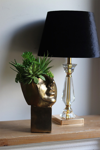 Suculentas Espana sukulenty w głowie kompozycja	