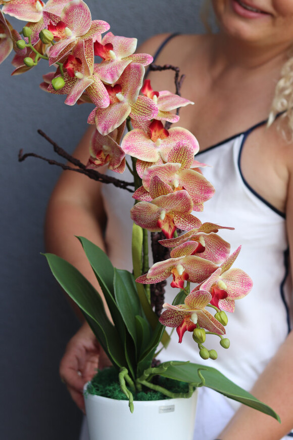 Granada Simple, gumowy storczyk w prostej donicy