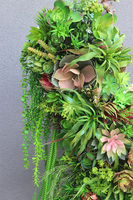 Dalila 1, kompozycja sukulenty do twojej donicy, wym.44x85x35cm