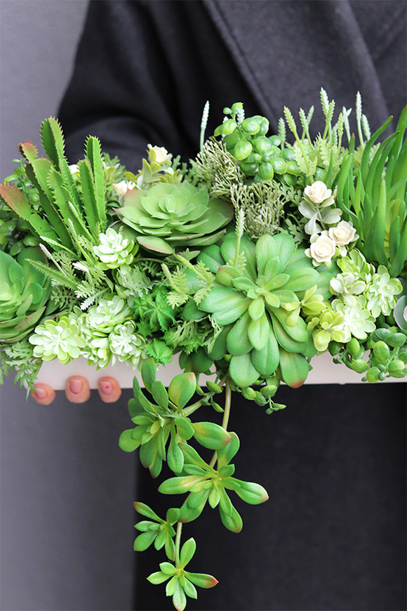 Suculentas Longia 2, kompozycja sukulenty w długiej donicy