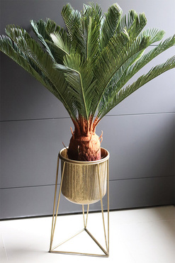 Cykas Astretta, sztuczna roślina w donicy na stojaku, wys.123cm