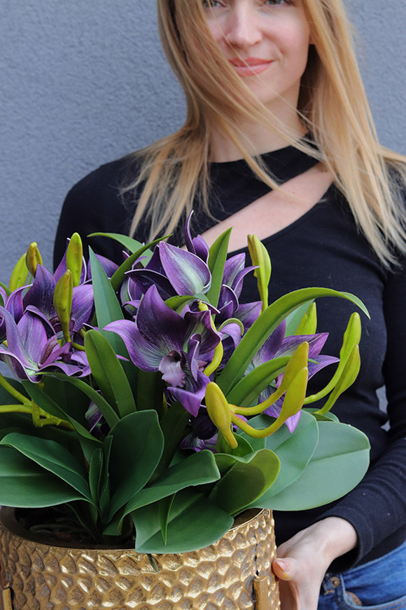 Goldenario Harlow 2, gumowy storczyk w złotej donicy