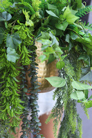 Green House, zielona kompozycja wisząca