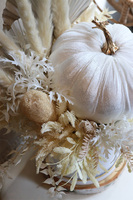 Velurowa Dynia, jesienny flowerbox na plastrze drewna, M