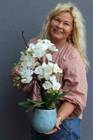 Turkusia 2, gumowy storczyk w ozdobnej donicy