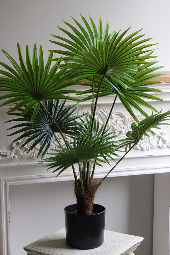 Palma Livistona, sztuczna roślina w doniczce