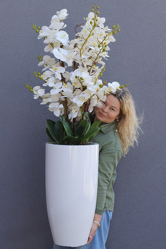 Grande Luise Fiberglass, gumowy storczyk w białej donicy