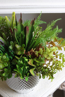 Regulina Cacti, sukulenty w lustrzanej donicy