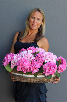 Pink Grettia, długi kosz różowych hortensji