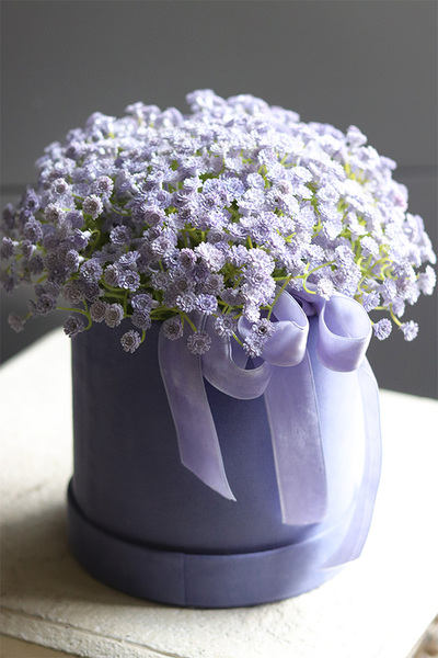 Kaszka Liliowa, flowerbox kwiatowy welurowy, gipsówka