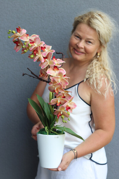 Granada Simple, gumowy storczyk w prostej donicy