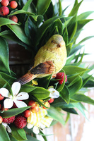 czerwono-żółty wianek z owocami, Strawberry Jazz, śr.28cm 