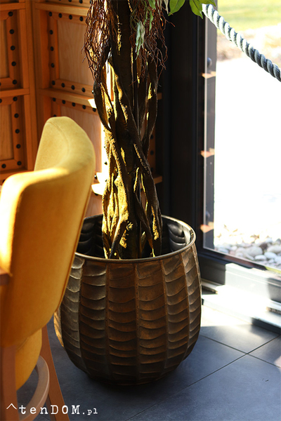 Fikus Benjamin Aguilera, sztuczna roślina w donicy