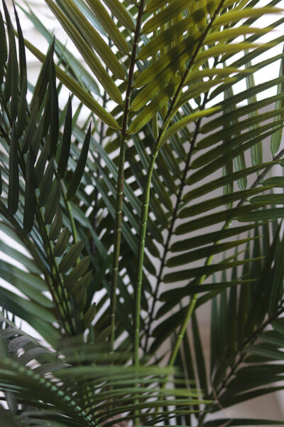 Palma Magellania, sztuczna roślina w doniczce