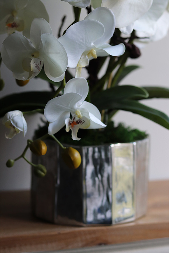 Silver Fredda, sztuczny storczyk w donicy