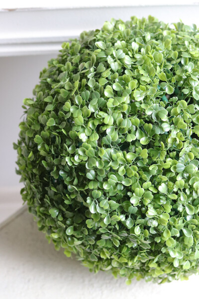 Boxwood, kula bukszpanowa, wysoka jakość