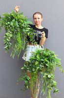 Green House, zielona kompozycja wisząca