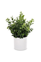 Greento Bukszpan, sztuczna roślina w doniczce, wym.25x17x17cm