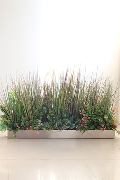 Albertina Steel, trawy w stalowej donicy, wym.73x100cm