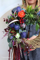 Vincentia, wianek asymetryczny na drzwi