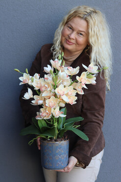 OD RĘKI Morelle Cymbydium, sztuczny storczyk w doniczce, wys.58cm