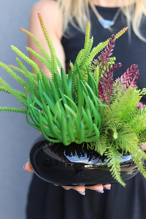 Green Design A, kompozycja sukulenty w czarnej donicy, wym.25x26cm